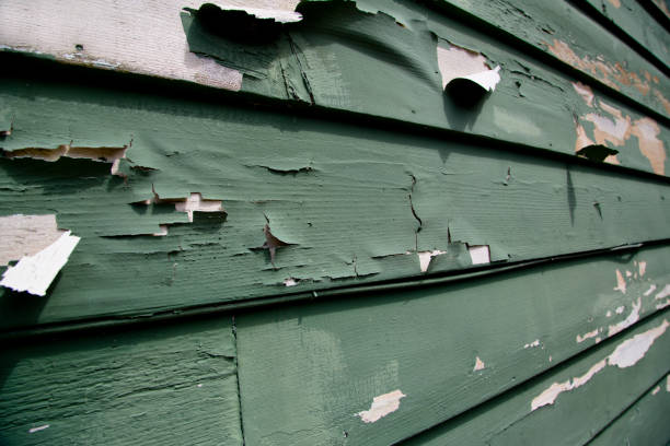 Best Residential Junk Removal  in Safford, AZ